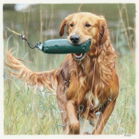 Dummytraining: Arbeiten am Wasser